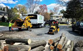 Best Commercial Tree Services  in South Greeley, WY